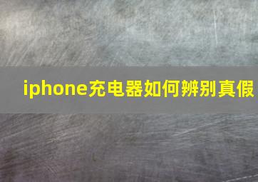 iphone充电器如何辨别真假