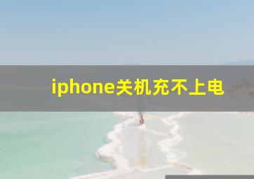 iphone关机充不上电