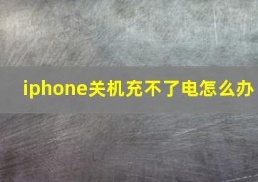 iphone关机充不了电怎么办