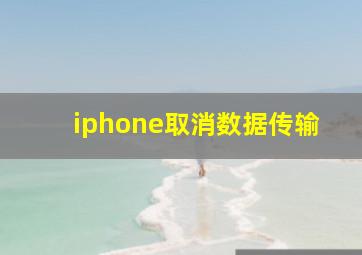 iphone取消数据传输