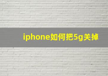 iphone如何把5g关掉