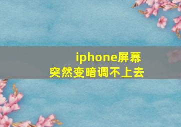 iphone屏幕突然变暗调不上去