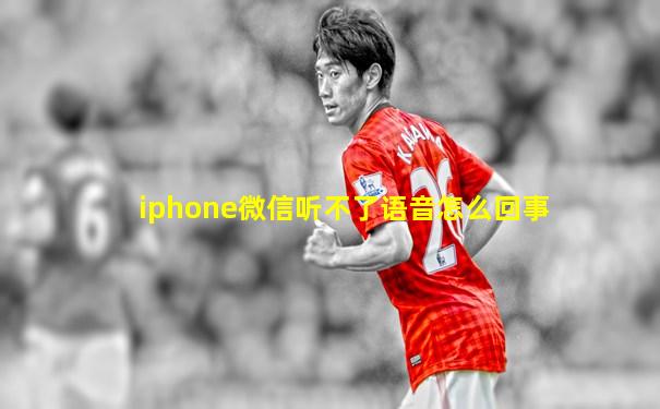 iphone微信听不了语音怎么回事