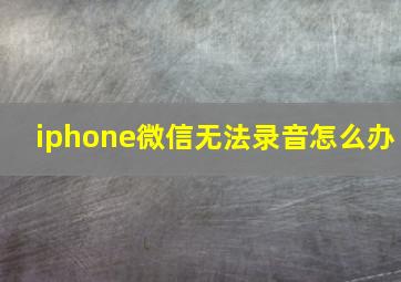 iphone微信无法录音怎么办