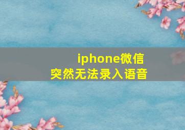 iphone微信突然无法录入语音