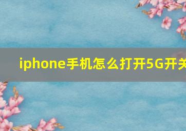 iphone手机怎么打开5G开关