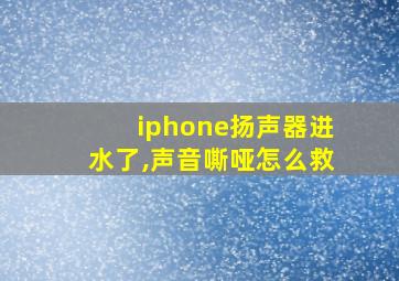 iphone扬声器进水了,声音嘶哑怎么救