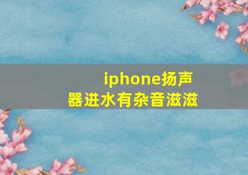 iphone扬声器进水有杂音滋滋