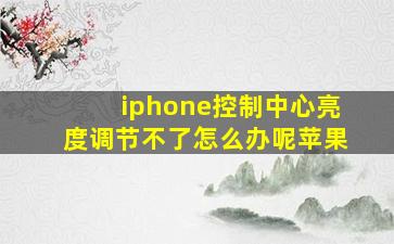 iphone控制中心亮度调节不了怎么办呢苹果