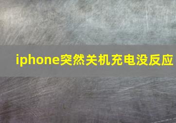 iphone突然关机充电没反应