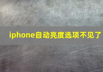 iphone自动亮度选项不见了