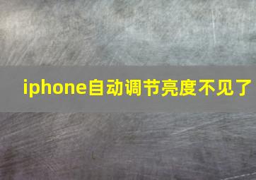 iphone自动调节亮度不见了