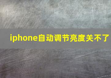 iphone自动调节亮度关不了