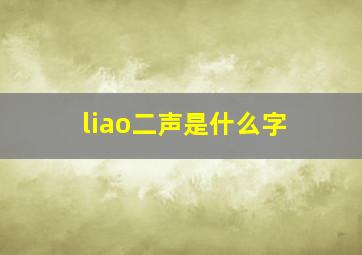 liao二声是什么字