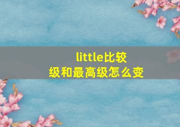 little比较级和最高级怎么变