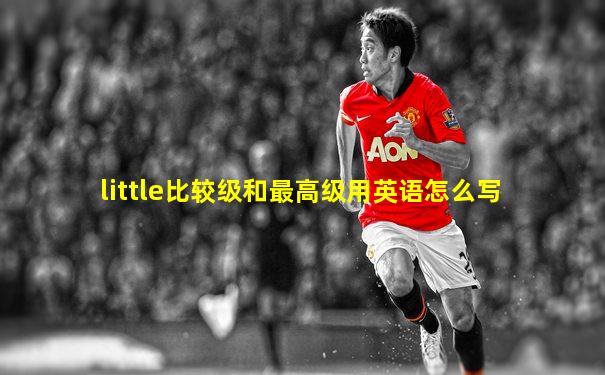 little比较级和最高级用英语怎么写