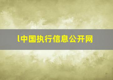 l中国执行信息公开网