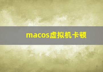 macos虚拟机卡顿