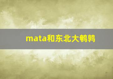 mata和东北大鹌鹑