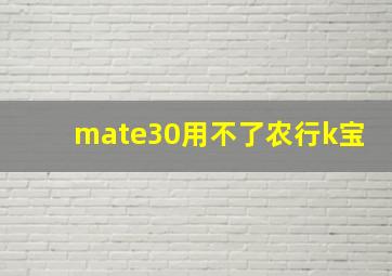 mate30用不了农行k宝