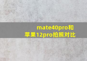 mate40pro和苹果12pro拍照对比