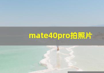 mate40pro拍照片