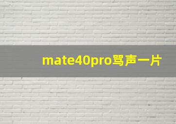 mate40pro骂声一片