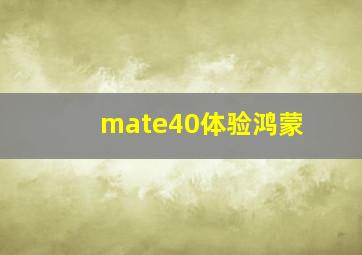 mate40体验鸿蒙