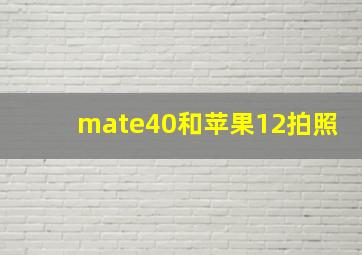 mate40和苹果12拍照