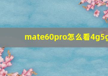 mate60pro怎么看4g5g