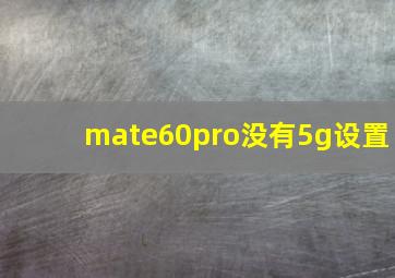 mate60pro没有5g设置