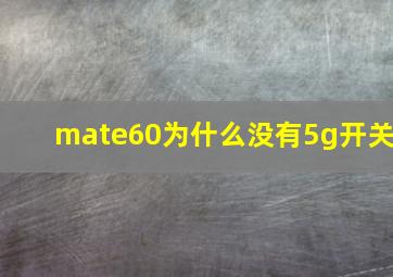 mate60为什么没有5g开关