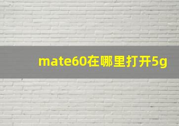 mate60在哪里打开5g