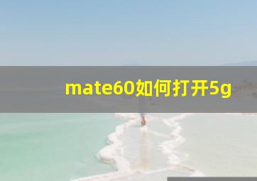 mate60如何打开5g