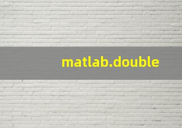 matlab.double