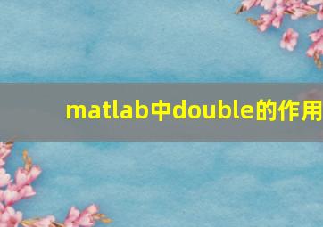 matlab中double的作用