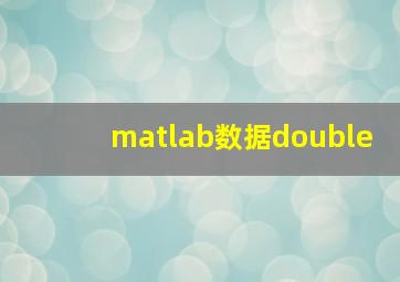 matlab数据double