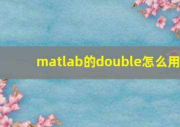 matlab的double怎么用