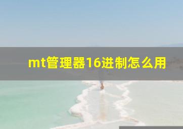 mt管理器16进制怎么用