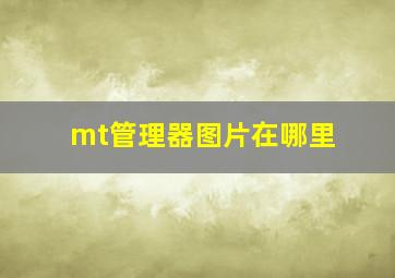 mt管理器图片在哪里