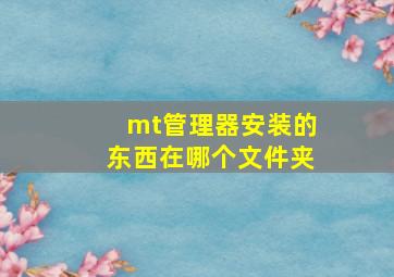 mt管理器安装的东西在哪个文件夹