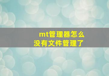 mt管理器怎么没有文件管理了