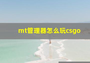 mt管理器怎么玩csgo