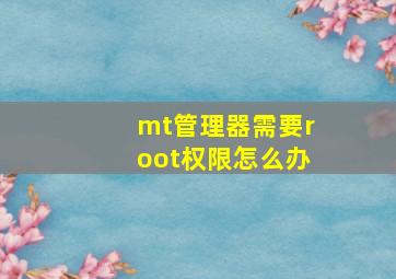 mt管理器需要root权限怎么办