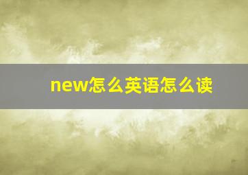 new怎么英语怎么读