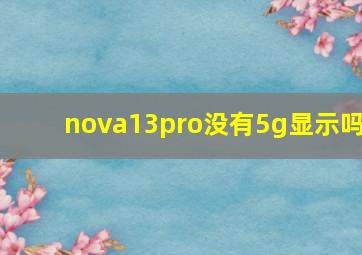 nova13pro没有5g显示吗