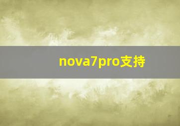 nova7pro支持