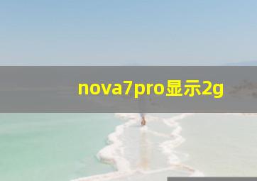 nova7pro显示2g