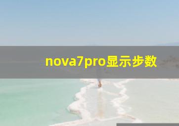 nova7pro显示步数