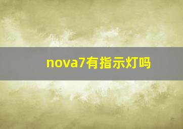 nova7有指示灯吗